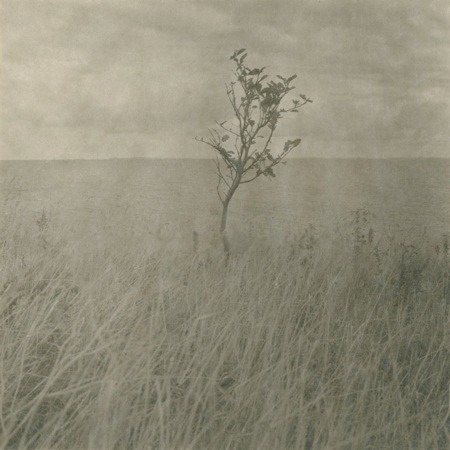 �u���ҁuLandscape #18�v2009 �J�[�e�~���f�i�f���}�[�N�j